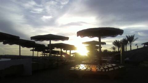 white_fire white_fire