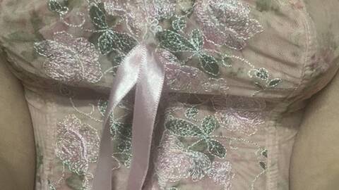 Tigre-rossa Tigre-rossa