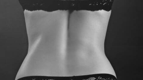 Whiteorchid Whiteorchid