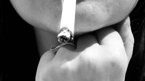 LucilleCurvy LucilleCurvy