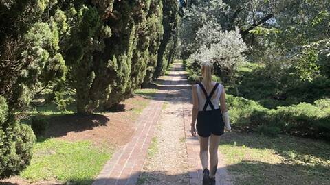 Storyteller_ Storyteller_