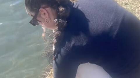 pussywagon000 pussywagon000